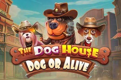 Thedoghousedogoralive Аркада Казино играть